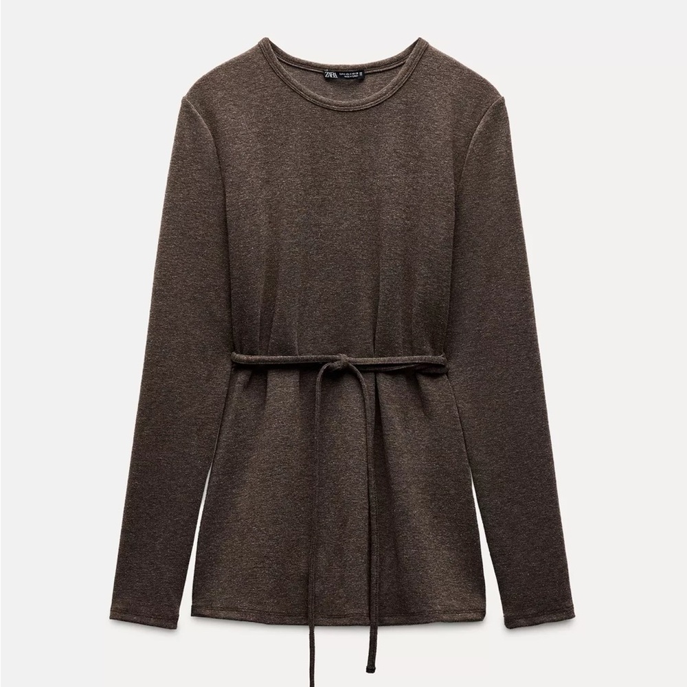 Zara Brown Pencil Skirt and top